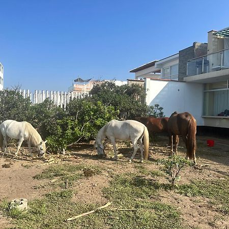 Yolo House Peru Bed & Breakfast Асия Екстериор снимка